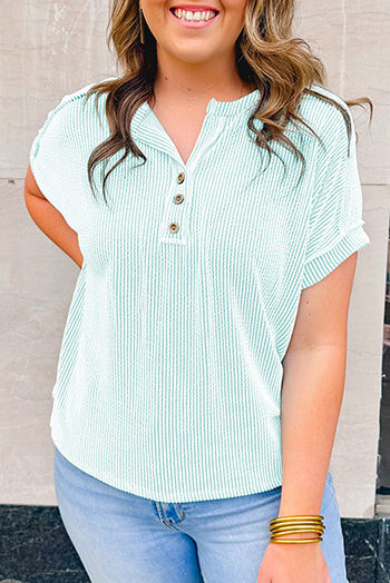 Iceland Blue Plus Size Textured Henley T Shirt