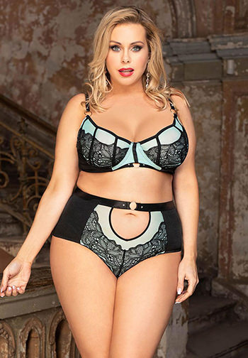 Plus Size Romantic High Waisted Lace Bra Set