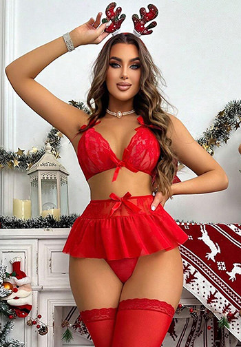 Mrs. Claus Lingerie Costume