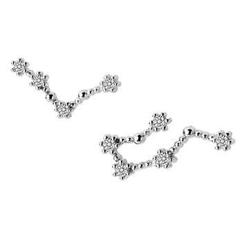 Cubic Zirconia Twelve Constellations 925 Silver Studs Earrings